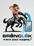 BroncLoK cargo area locking system installed in a Ford Bronco